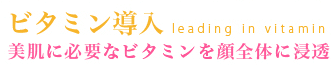 ビタミン導入 美肌に必要なビタミンを顔全体に浸透
